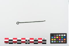 Foto von Bronzeohrlöffel (NHMW-PRAE-024109)